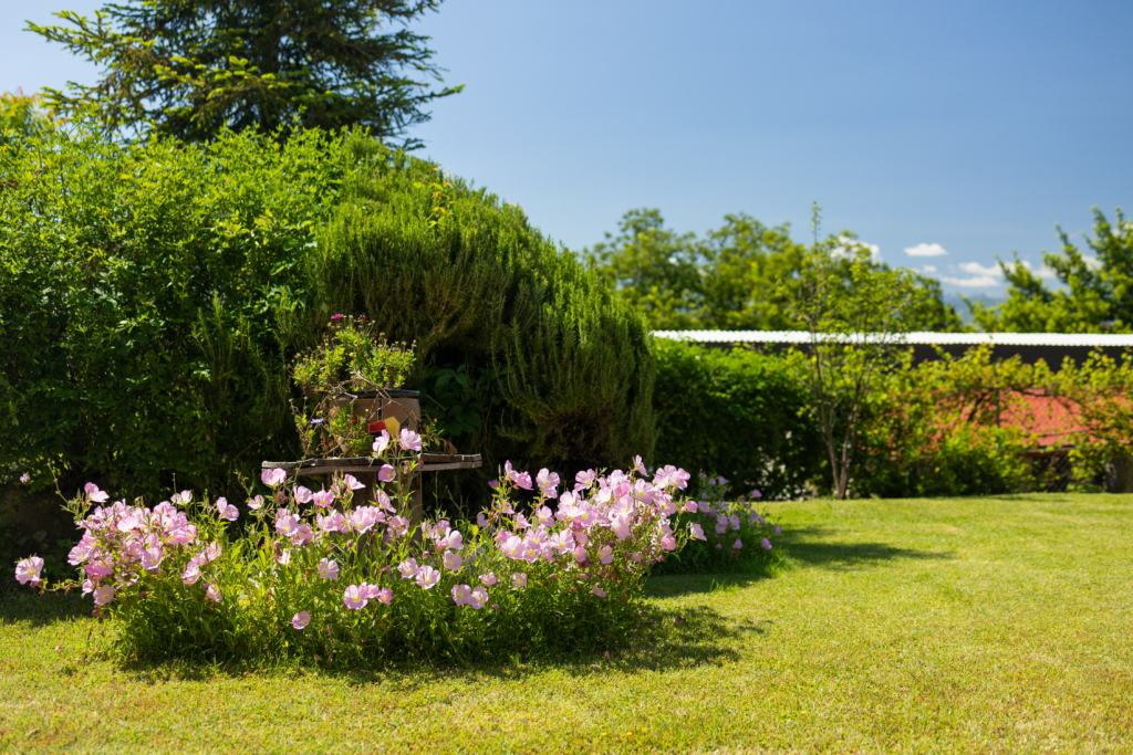 ΕΞΩΤΕΡΙΚΟΣ ΧΩΡΟΣ